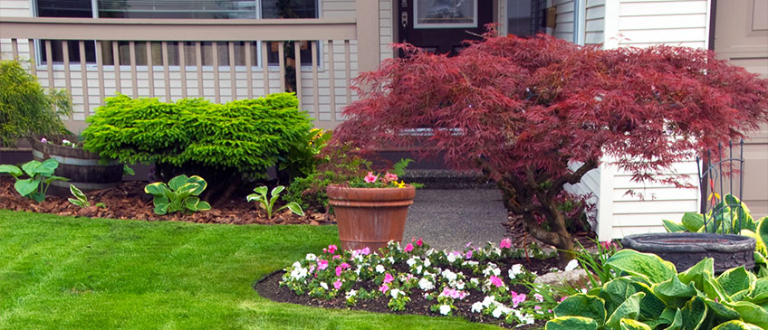 Front Yard Landscaping 